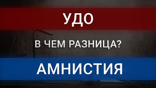 Чем условно досрочное отличается от амнистии | УДО | АМНИСТИЯ