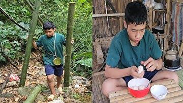 Lam brought fresh bamboo trees home by himself to prepare to repair the bathroom.