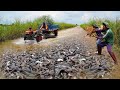 Amazing Catching &amp; Catfish by Hands on the Road Flooded - Best Man Fishing in Flooded Season