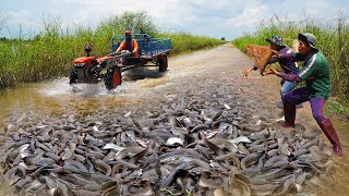 Amazing Catching &amp; Catfish by Hands on the Road Flooded - Best Man Fishing in Flooded Season