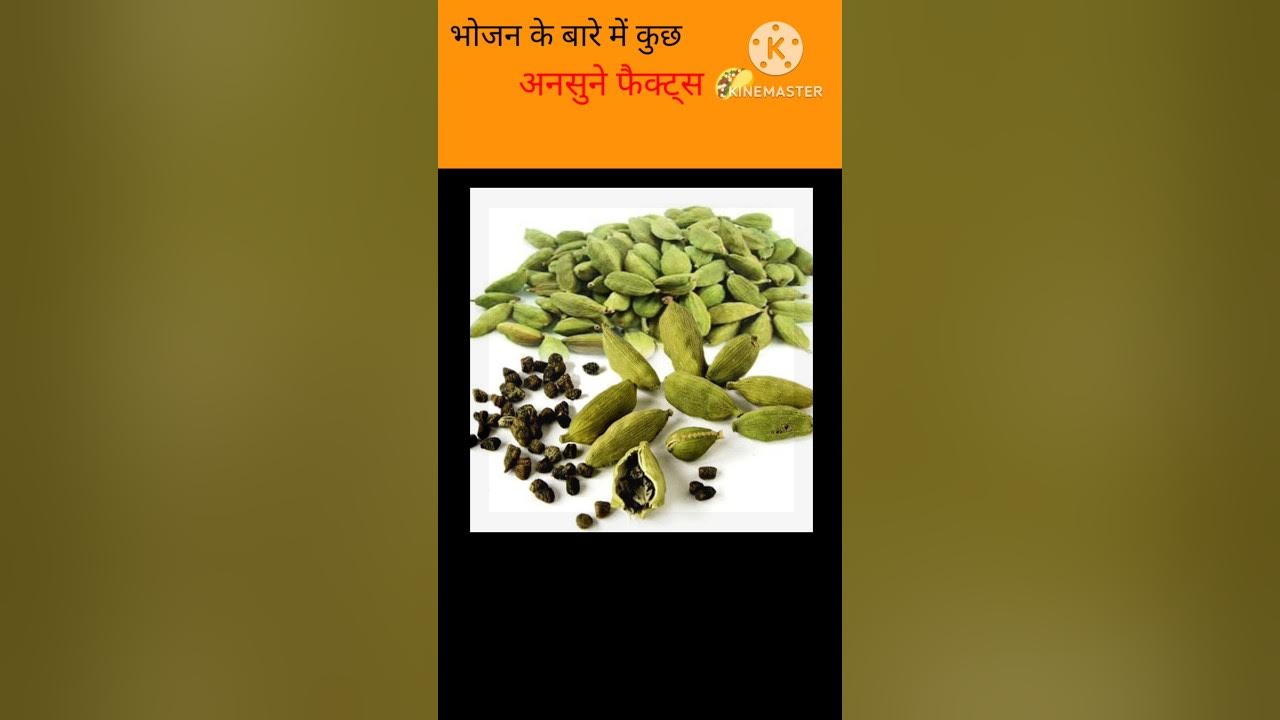 top-amezing-facts-about-food-in-hindi-youtubeshorts-shortvideo