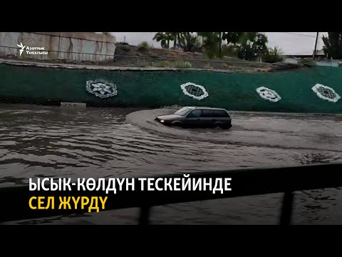 Video: Океан менен көлдүн ортосунда