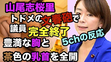 تحميل 山尾志桜里 流出
