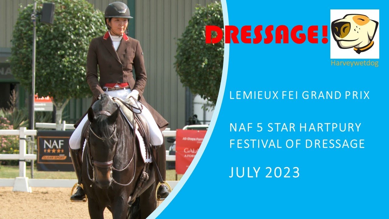 Sarah Rao and King Ron P Grand Prix at Hartpury Festival of Dressage ...