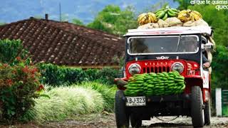 Miniatura de vídeo de "EL BURRITO SABANERO EMIR BOSCAN TROPICAL SIN ANIMO DE LUCRO"