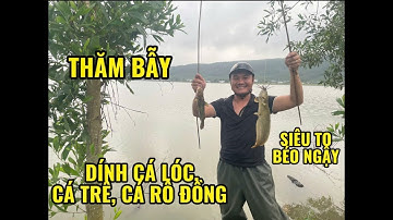 THĂM BẪY ,DÍNH CÁ LÓC, CÁ TRÊ ,CÁ RÔ ĐỒNG SIÊU BÉO NGẬY P2 @ACò_TayLấmChânBùnTV
