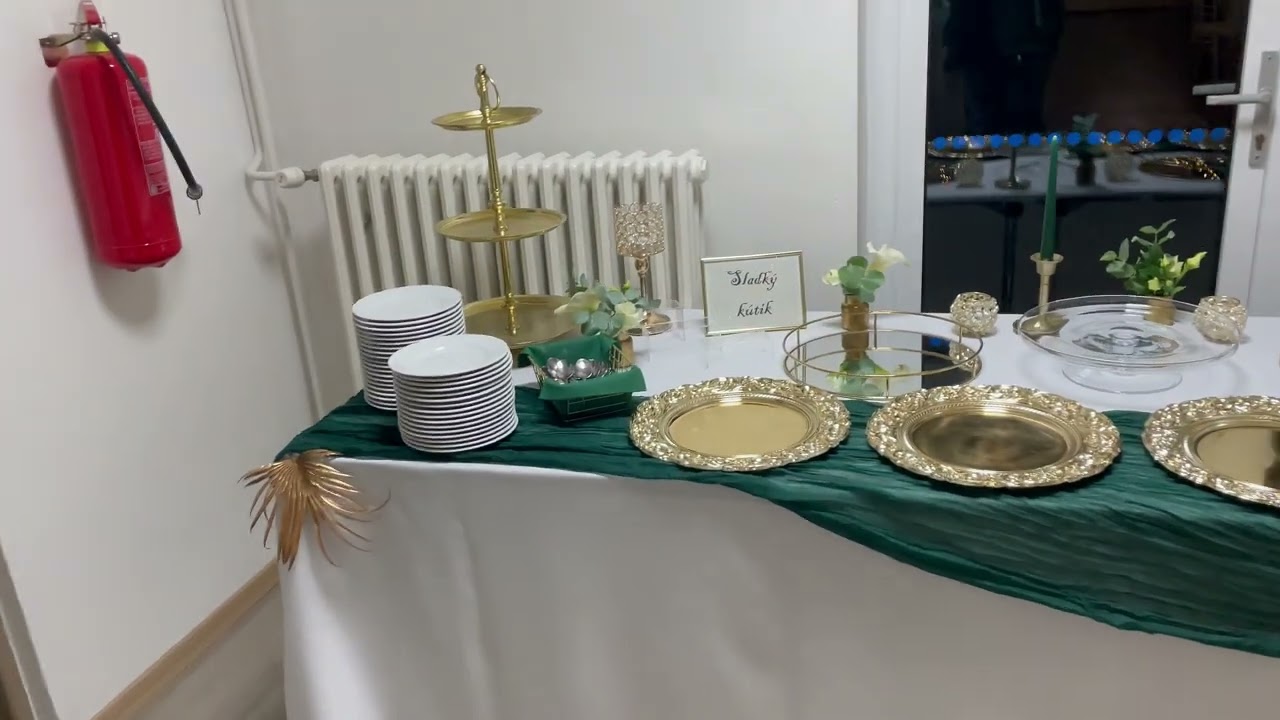 Novomestský ples 2024 (Nové Mesto nad Váhom) - takto to robíme my ! @svadba-snov.sk