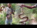 Epic Day - Slingshot Hunt Catch N Cook for Birds | Jamaican Boa Snake Catch N Release