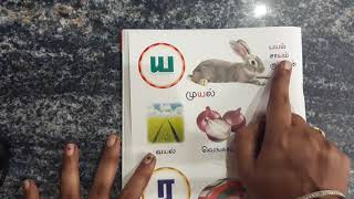 ப,ம,ய,ர வரிசை சொற்கள்.