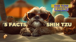 5 Things You Didn't Know About Shih Tzus