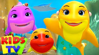 Baby Shark Song | Balloon Song | Yes Yes Song | Loco Nuts Cartoon | Nursery Rhymes Songs  Kids Tv