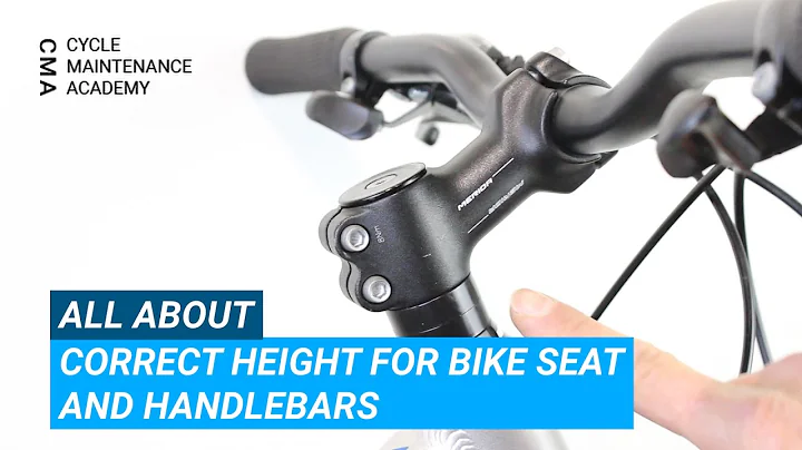 Correct Height For Bike Seat and Handlebars - DayDayNews
