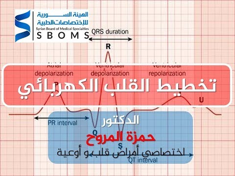 تخطيط القلب الكهربائي - الجزء الثاني (اضطرابات النظم)  Electrocardiogram review - part 2 II