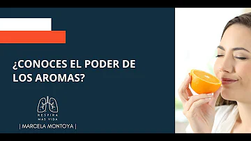 ¿Qué olores estimulan el cerebro?