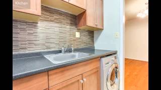 4324 2nd Rd N, Unit 3, Arlington VA 22203, USA
