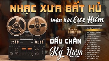 Đoạn Buồn Đêm Mưa, Mưa Đêm Tỉnh Nhỏ - LK Nhạc Vàng Hải Ngoại Xưa Hay Nhất - Công Tuấn Cực Chất