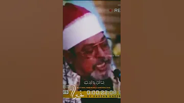 الشيخ السيد سعيد يس 