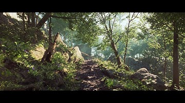 Unreal Engine 5 Forest Lighting Scenarios - Lumen