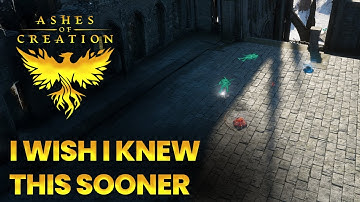 9 Ashes of Creation Things The Game DOESN