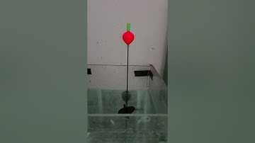 cách cân phao trứng cùng lục 8 câu bềnh