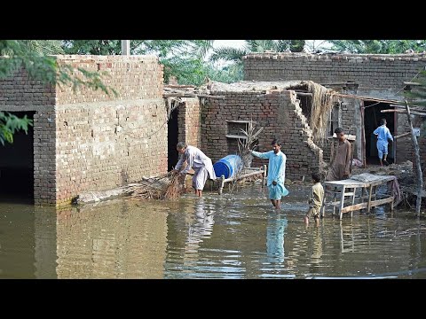 Live: devastating monsoon floods cause severe damage in pakistan