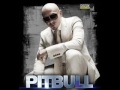 Dj Fraco Remix Pitbull VS Papa London