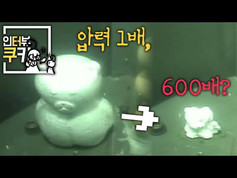 수심 6000m 심해 환경에 스티로폼 곰을 집어 넣어봤더니 그 결과는? | 인터뷰쿠키 EP02