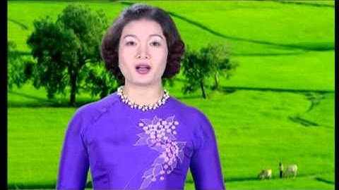 Tiến Nông Lúa 1 chuyên lót, Lúa 2 chuyên thúc