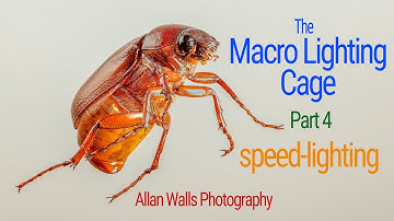 The Macro Lighting - Part 4 - Speed-Lighting