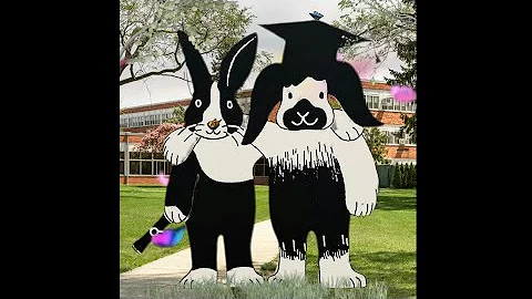 Identifying lines of symmetry or mirror lines!!! #testprep