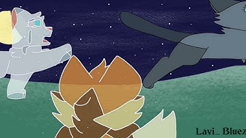 Warrior cats-Counting stars