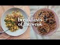 vegan breakfasts of the week