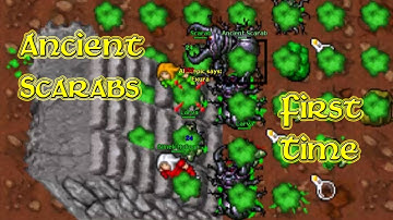 First Time Hunting Ancient Scarabs! (Secura 2006 - RL Tibia 7.6) Glinek Huligan