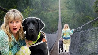 My Guide Dog Guided Me Across A SUSPENSION Bridge!