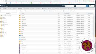How Delete Your Wordpress Website on Bluehost