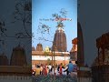 #mahadev 🚩🚩