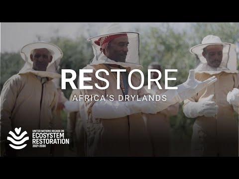 How to unlock the climate and food security potential of Africa’s drylands