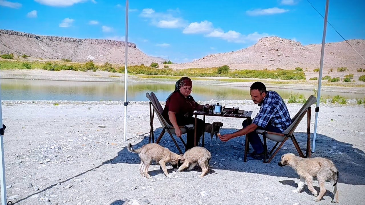 MİNİK MİSAFİRLERİMİZ'LE KAMP YAPTIK.