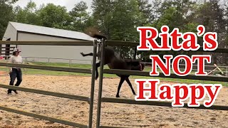 Rita the Spicy Filly In The Round Pen With Twisted Teer’s Kourtney