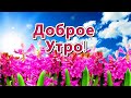 ДОБРОЕ УТРО!💖 ПРЕКРАСНОЙ СУББОТЫ!💖  ОТЛИЧНОГО ОТДЫХА!💖 ХОРОШЕГО НАСТРОЕНИЯ!💖