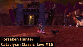 Outland | Forsaken Hunter Leveling Cataclysm Classic  | 2K-- Live #16