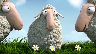 Komik Kuzular, Yeni Nesil Kuzular-Sheeps comedy