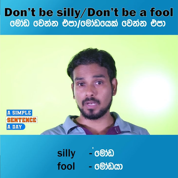 our-latest-program-a-simple-sentence-a-day-11-english-sentences