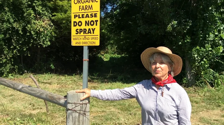 Debbie introducing the chestnut orchard