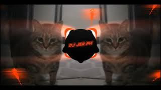 DJ BLOODLINE x EST CE QUE TU - NEW ( SLOWED & REVERB ) - DJ JER PH