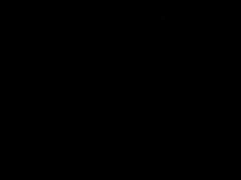 3 September 2024