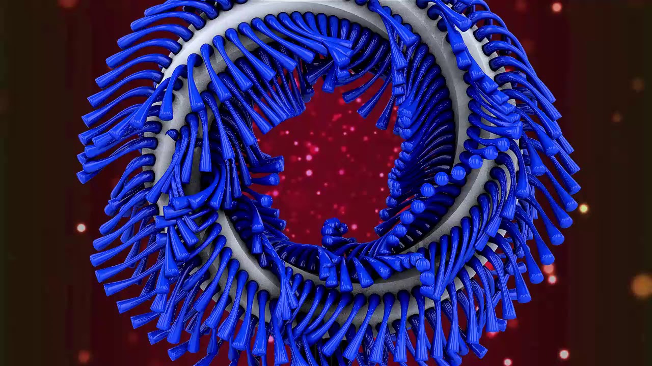 Cinema 4d Motion graphics - YouTube
