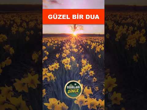 GÜNE GÜZEL BİR DUA Etkili Dualar Dinle #gününduası #dua  #duadinle #shortsvideo #hacetduası #shorts