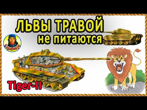 Video: Mometrix бекерби?