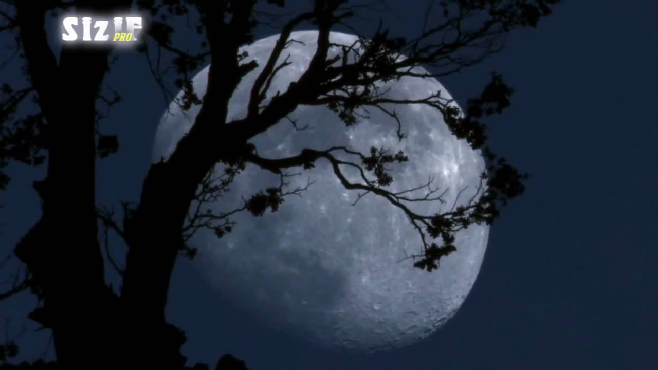 Flёur - Великое Ничто (неизданная песня)